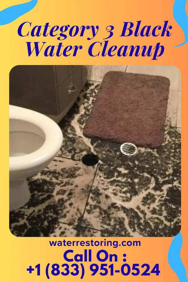 Category 3 Black Water Cleanup in Dover, DE