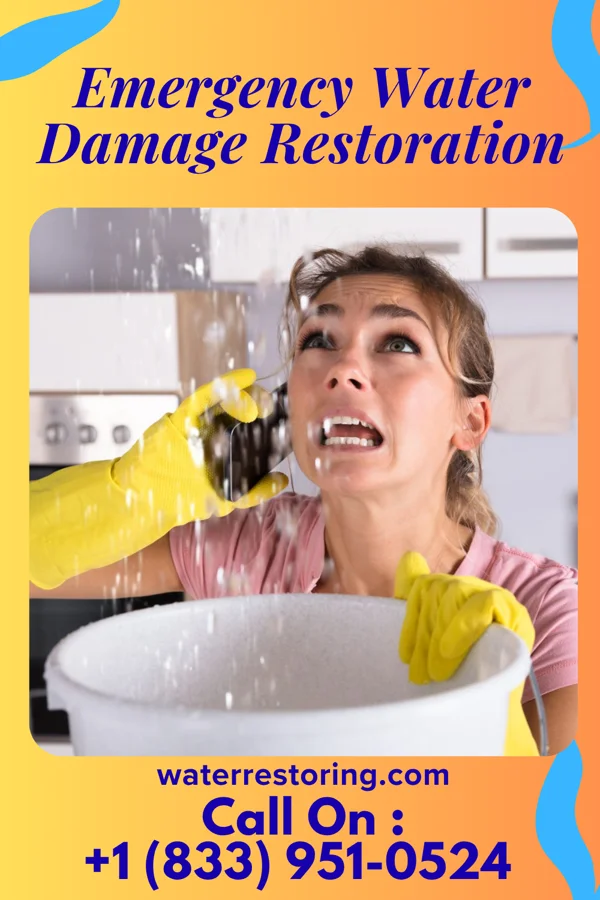 Emergency Water Damage Restoration in Dover, DE