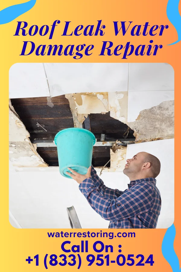 Roof Leak Water Damage Repair in Dover, DE