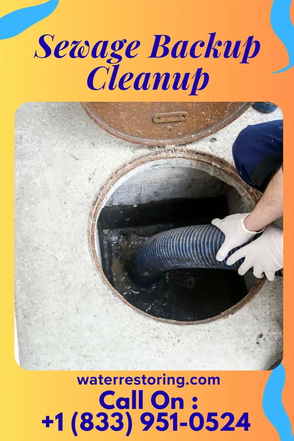 Sewage Backup Cleanup in Dover, DE